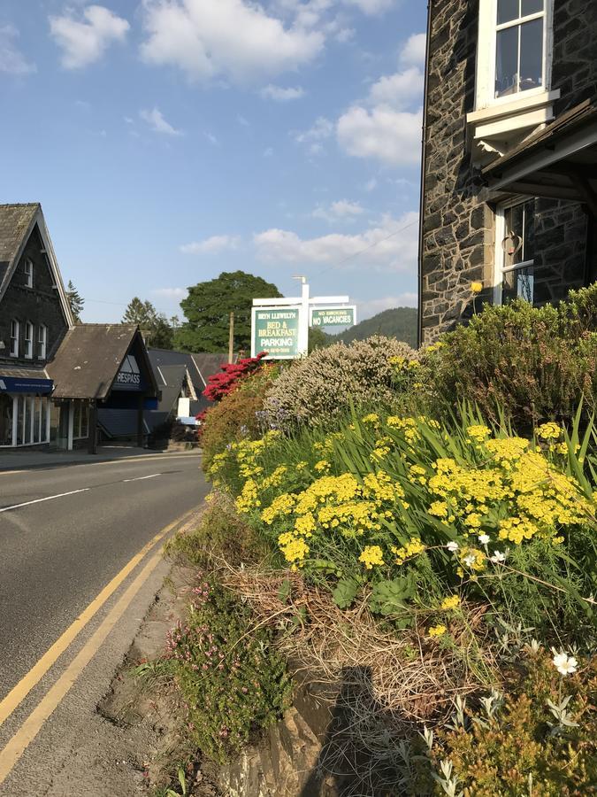 Bryn Llewelyn Bed & Breakfast Betws-y-Coed Dış mekan fotoğraf